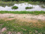 水池