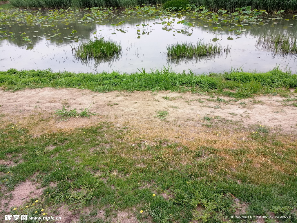 水池