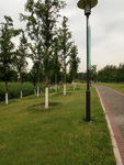 初夏公园景观