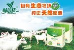 羊奶广告