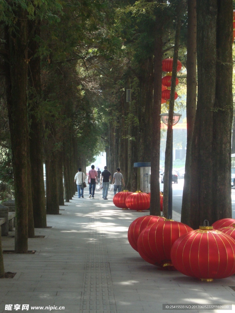 自然风景