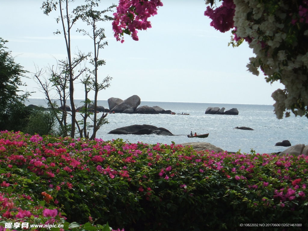 美丽海湾