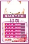 美容招聘