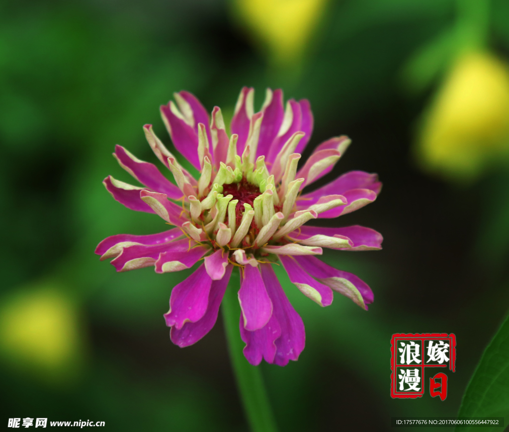 花