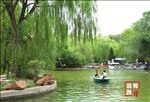 植物园