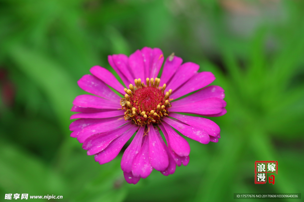花