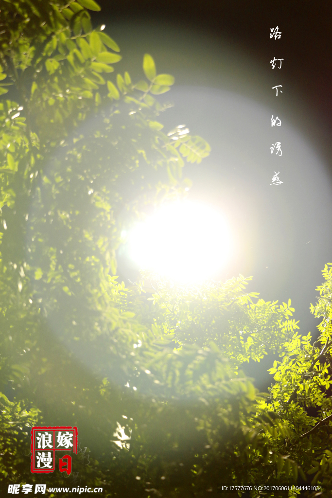 路灯光韵