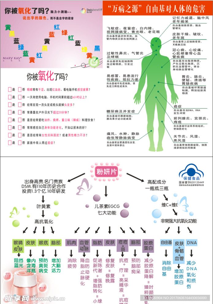 玫琳凯粉妍片DM单