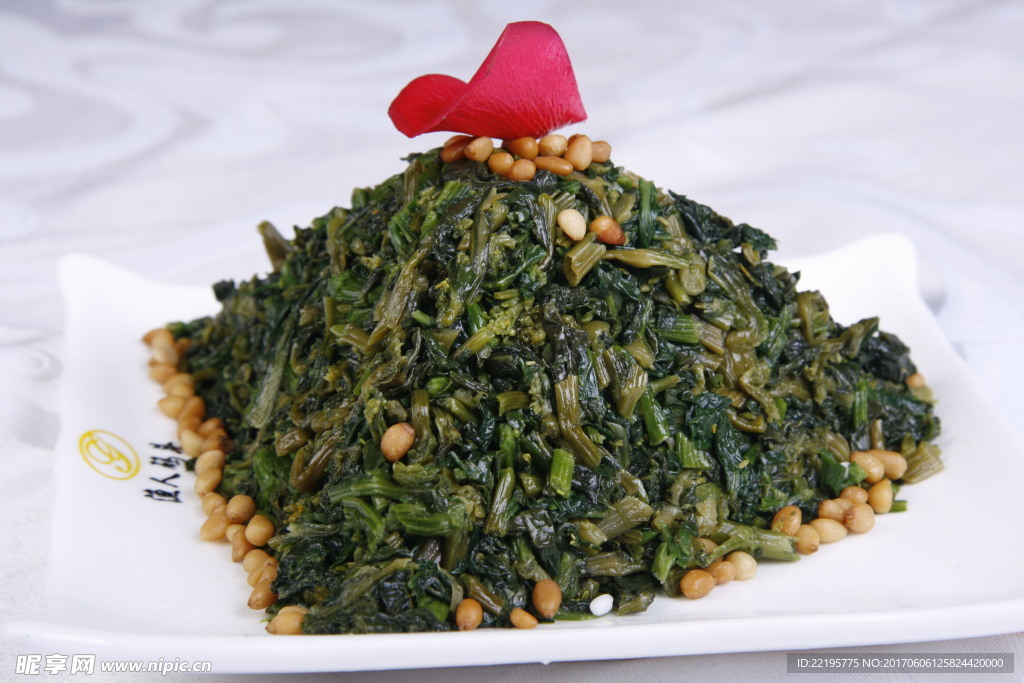松仁万年青