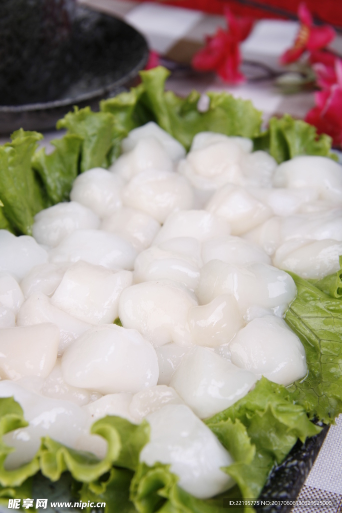 鲜贝丁