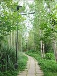 林间小路