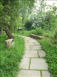 林间小路