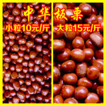 板栗