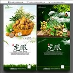 龙眼