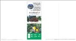 仙居杨梅展架