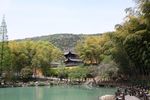 青山绿水