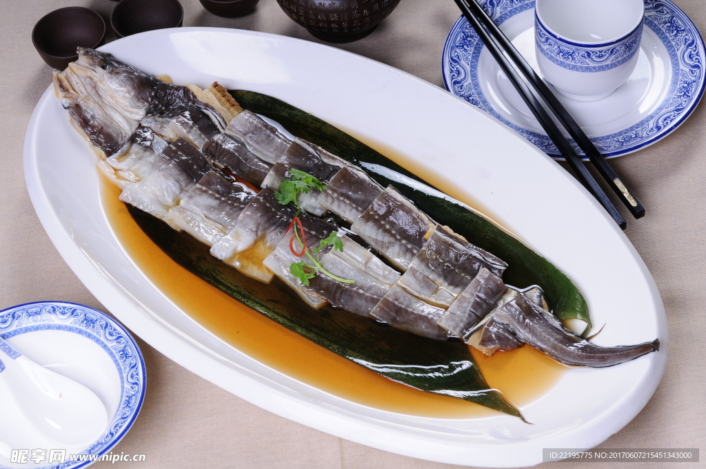 沽食砂鳗