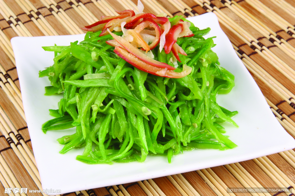 兰丝北极贝