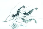 水墨画虾