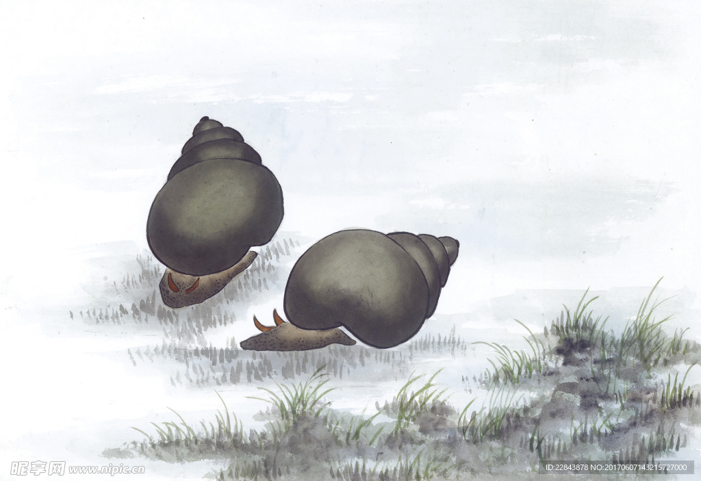 水墨画田螺