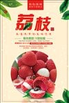 荔枝海报