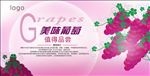 葡萄海报