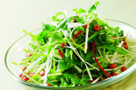 东北老虎菜