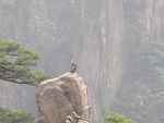 黄山美景