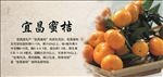 特产