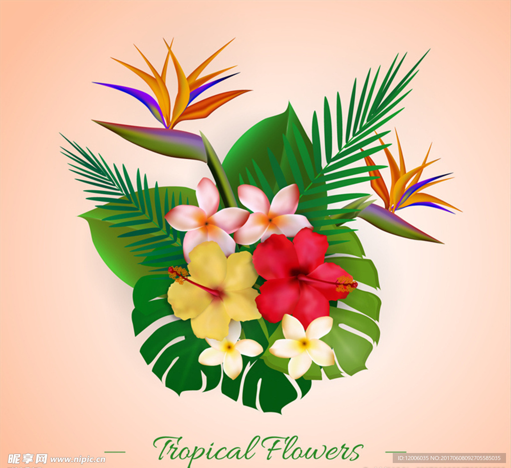彩色热带植物花束矢量素材