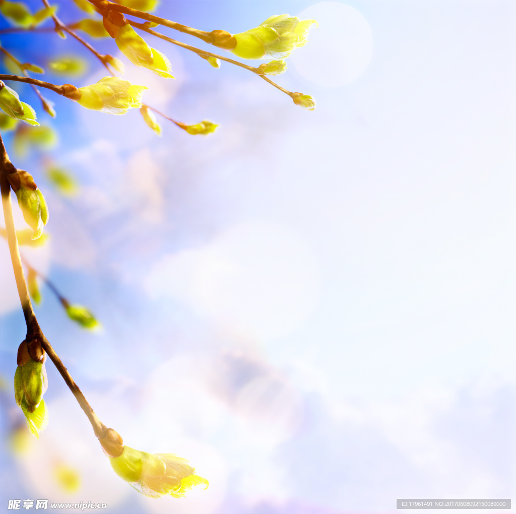 花背景