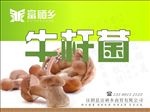 原创牛肝菌标签