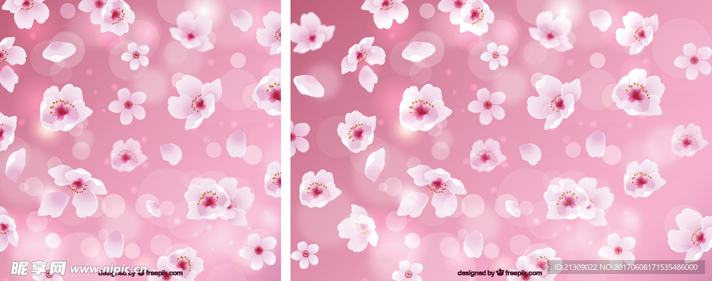 樱花背景