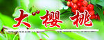 大樱桃