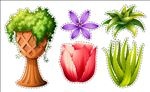 花篮
