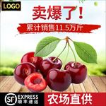 淘宝樱桃车厘子主图素材