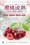 樱桃成熟美食海报设计