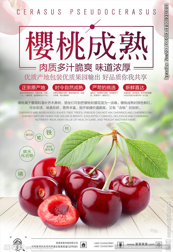 樱桃成熟美食海报设计