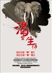 保护动物海报