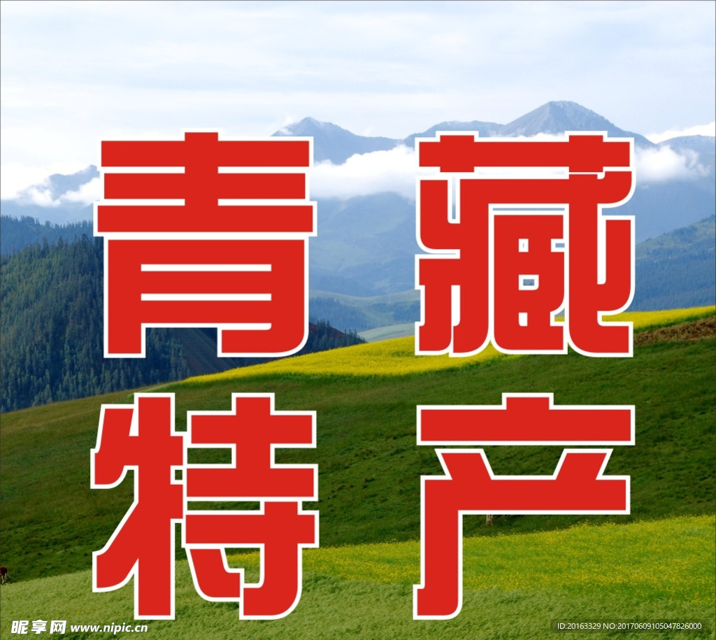 青藏特产
