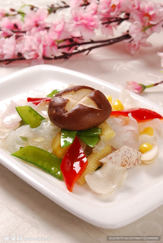满汉全素