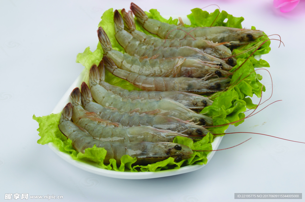 青虾