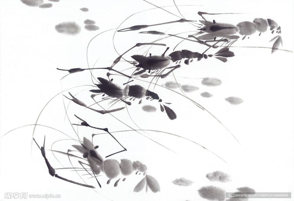 水墨画虾