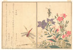 日本浮世绘 日本名画 浮世绘