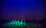 夜星空