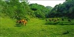 风景图