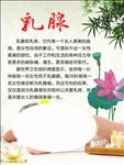 中医养生乳腺