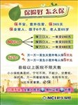 新华保险