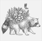 手绘背上开花的浣熊矢量素材图片