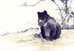狗熊